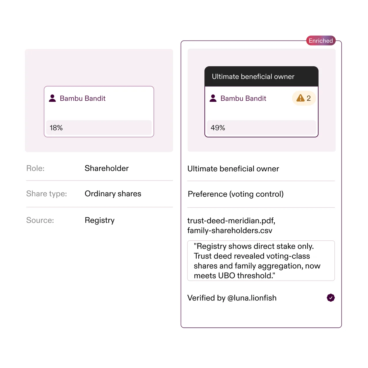 Comparison showing Bambu Bandit’s 18% ordinary shares as shareholder from registry versus 49% preference voting control as ultimate beneficial owner, verified with documents and flagged with 2 warnings.